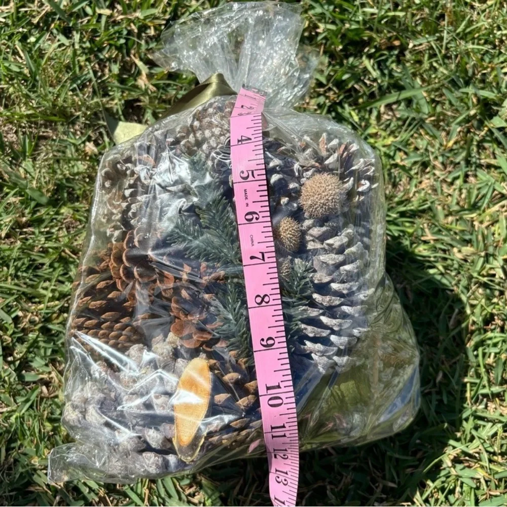 Hobby Lobby Pinecone Décor Potpourri Mix Unscented 16 oz NWT
